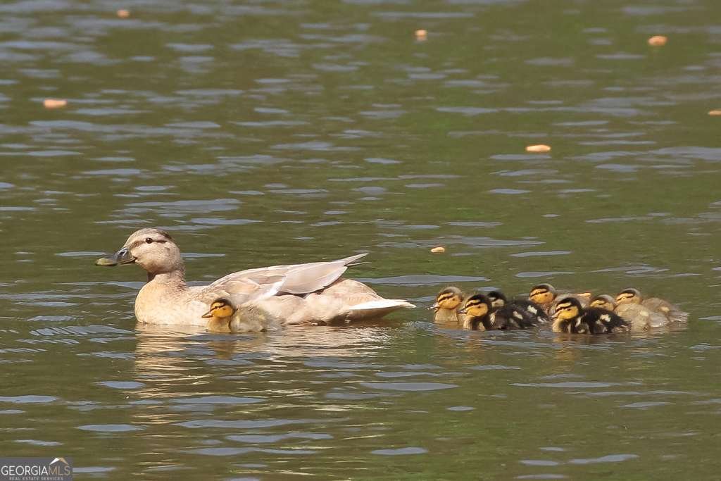 28206 Plantation Drive Atlanta - Photo 48