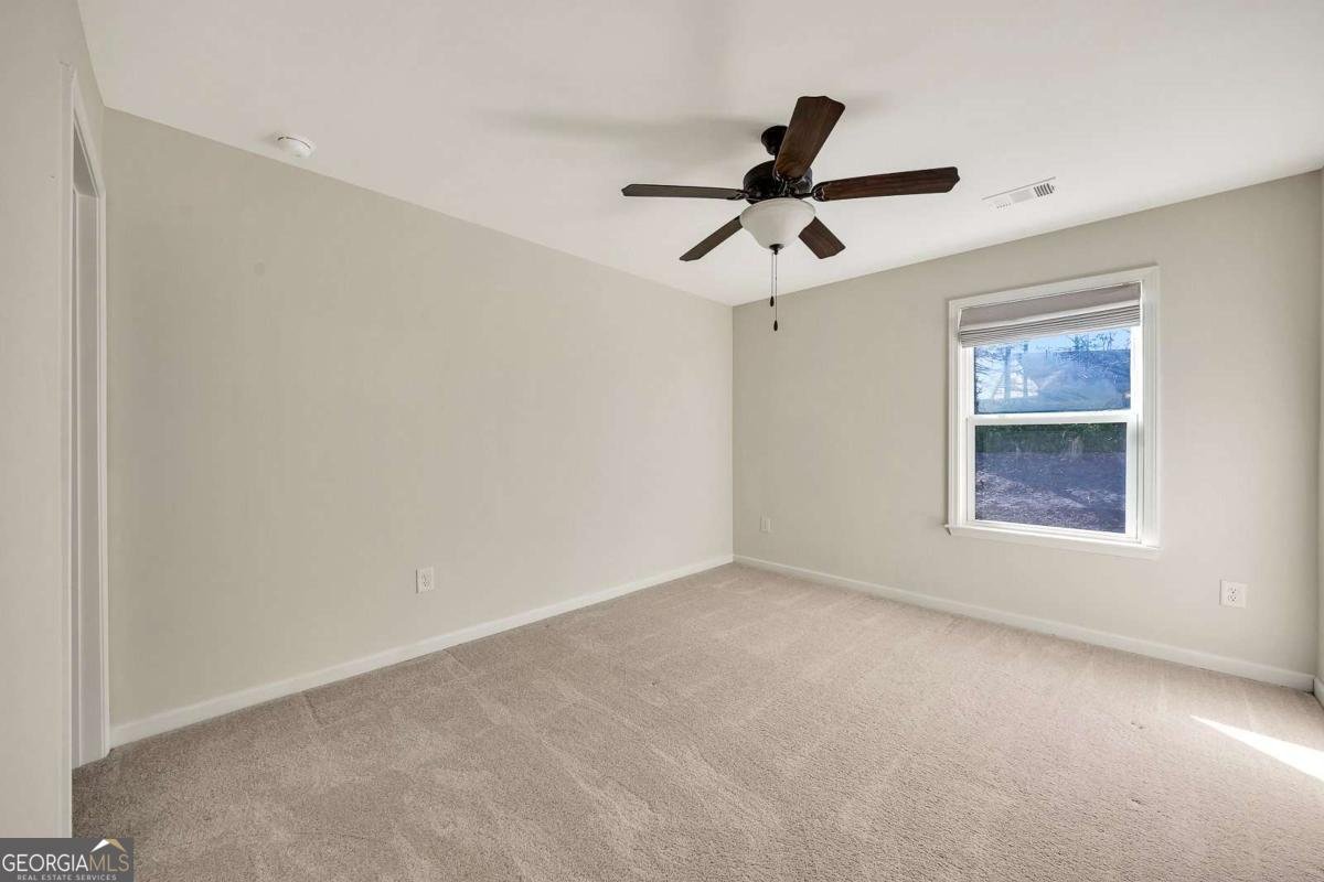 218 Providence Lane Canton - Photo 34