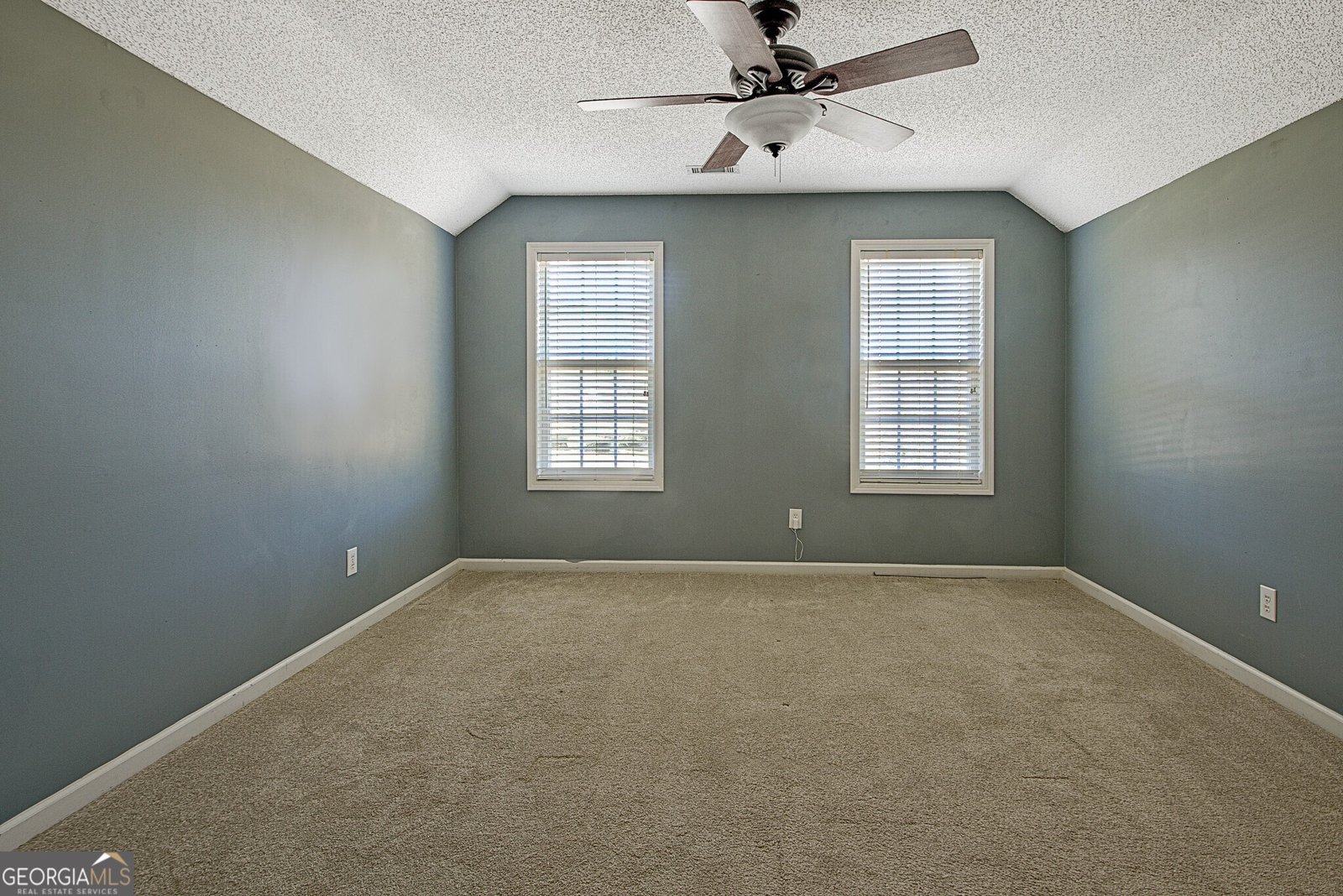 100 Clydesdale Court Tyrone - Photo 41