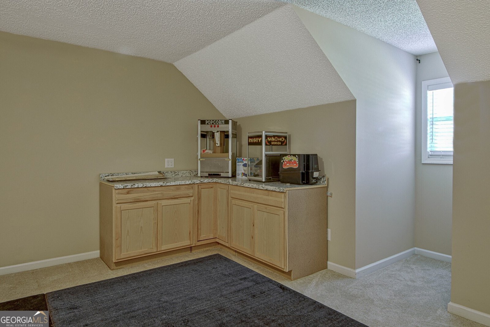 100 Clydesdale Court Tyrone - Photo 48