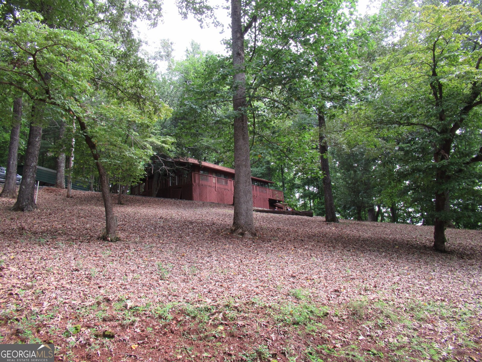 69 Orchard Hill Road Dahlonega - Photo 1
