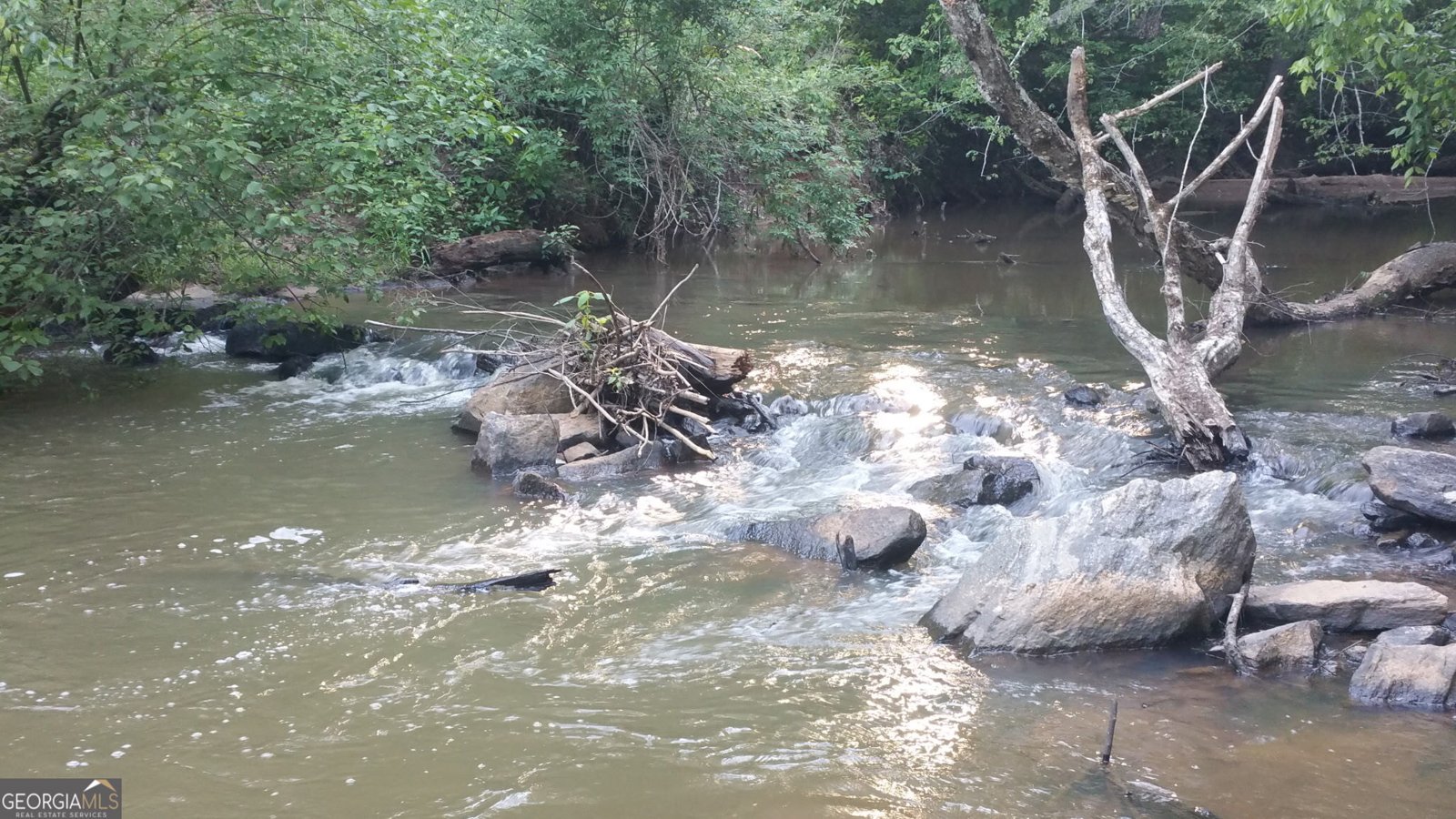 1719 Harber Road Carnesville - Photo 42