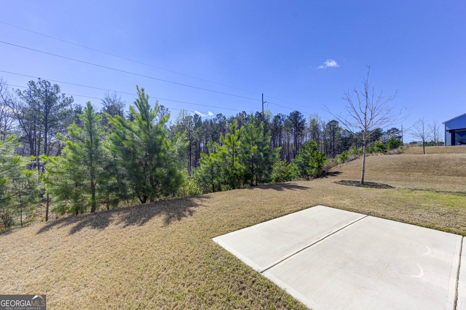 3154 Ellenton Drive Lithia Springs - Photo 40