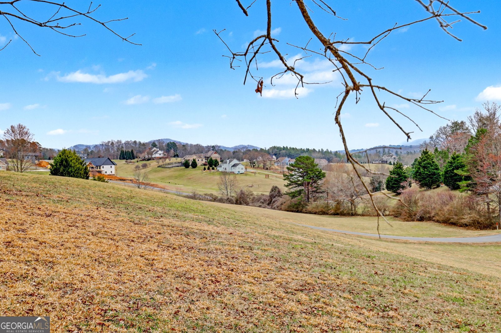 4 Cedar Glen Blairsville - Photo 91