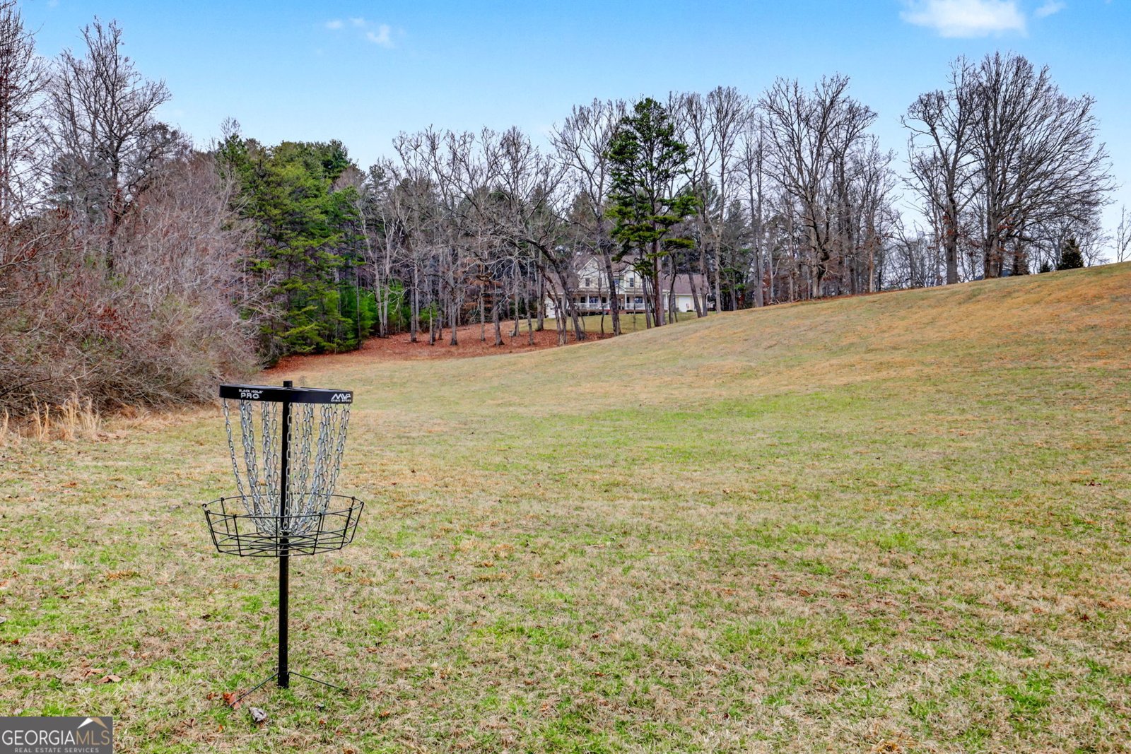 4 Cedar Glen Blairsville - Photo 92