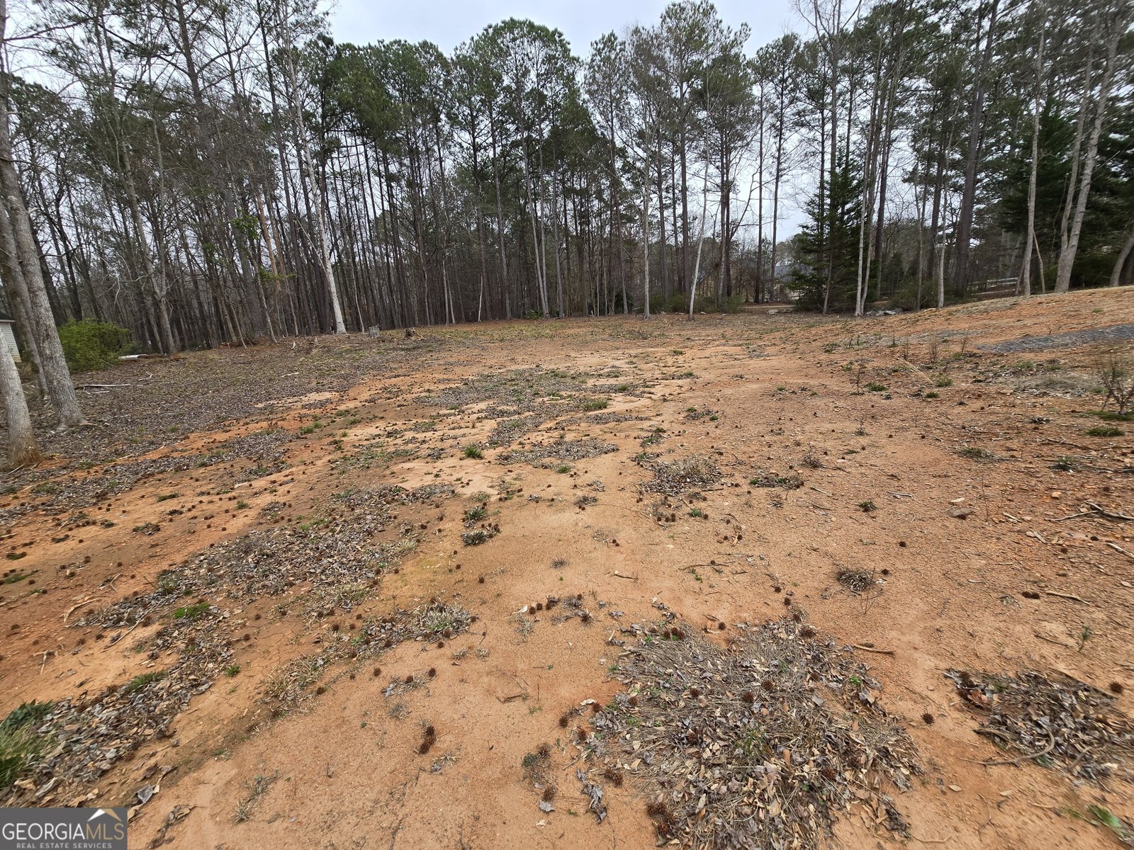 128 Deep Step Road Covington - Photo 21