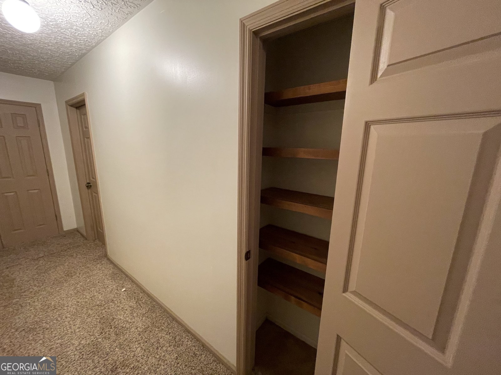 173 Berkley Road Cochran - Photo 44