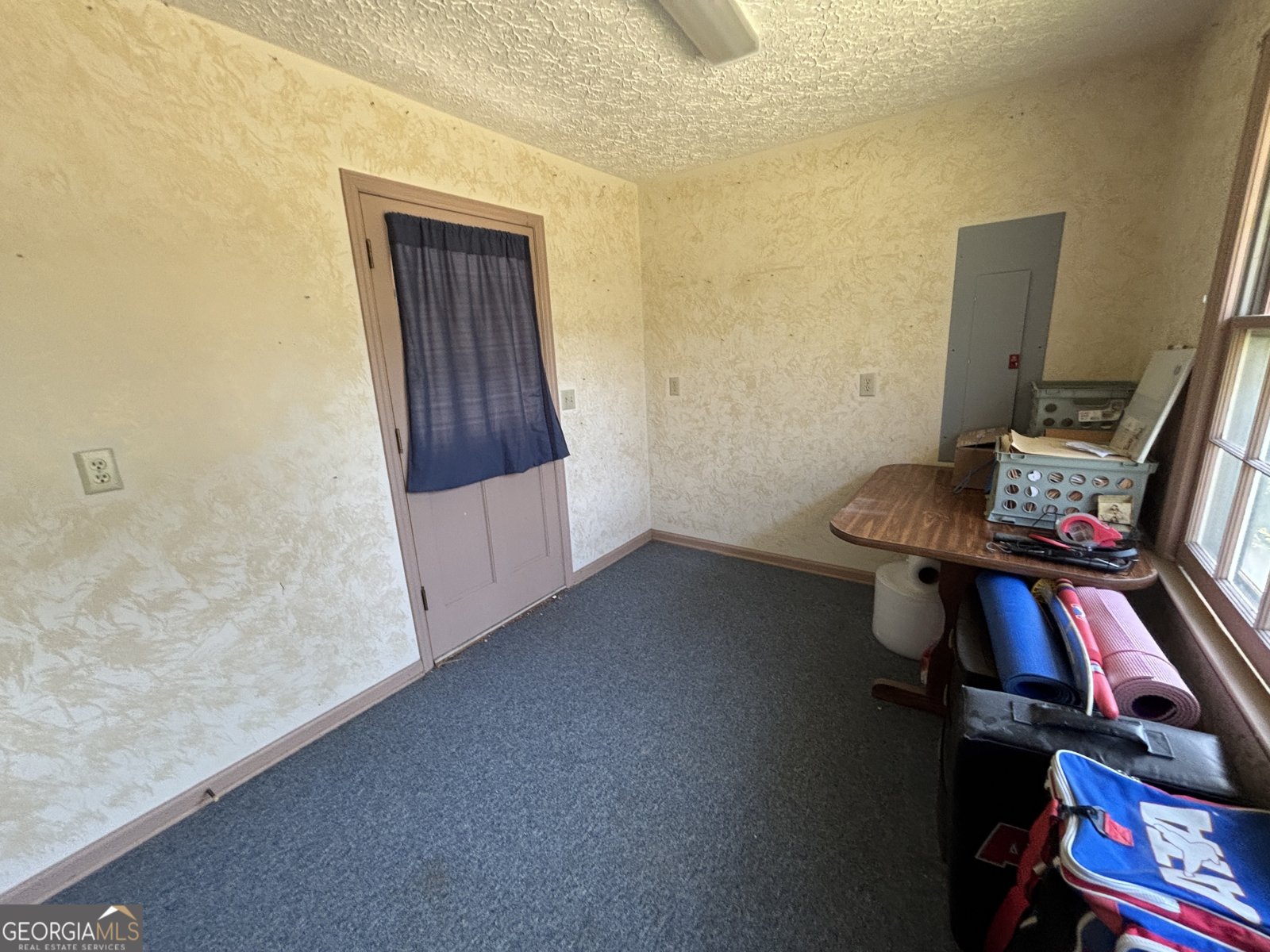 173 Berkley Road Cochran - Photo 52