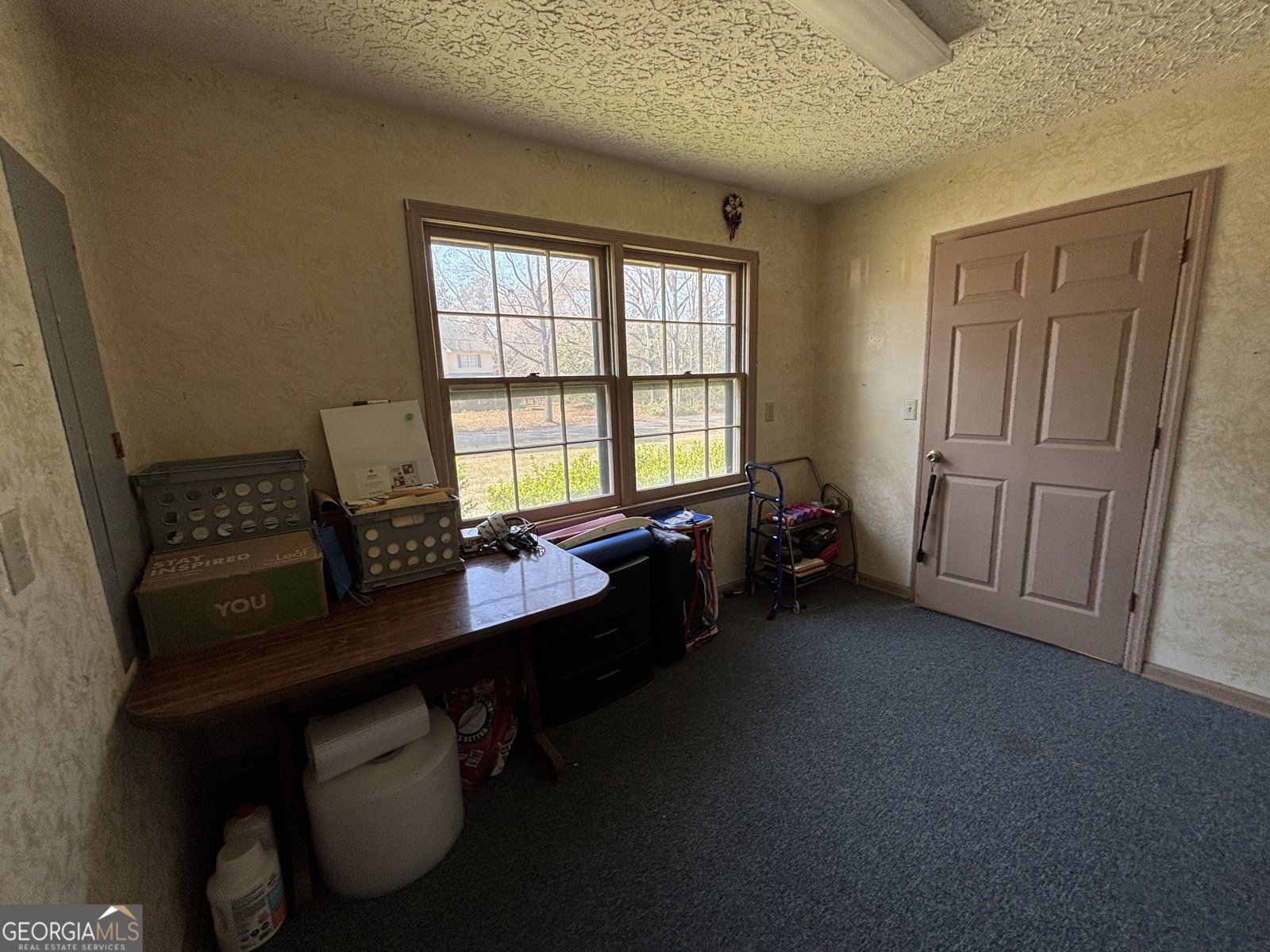 173 Berkley Road Cochran - Photo 53