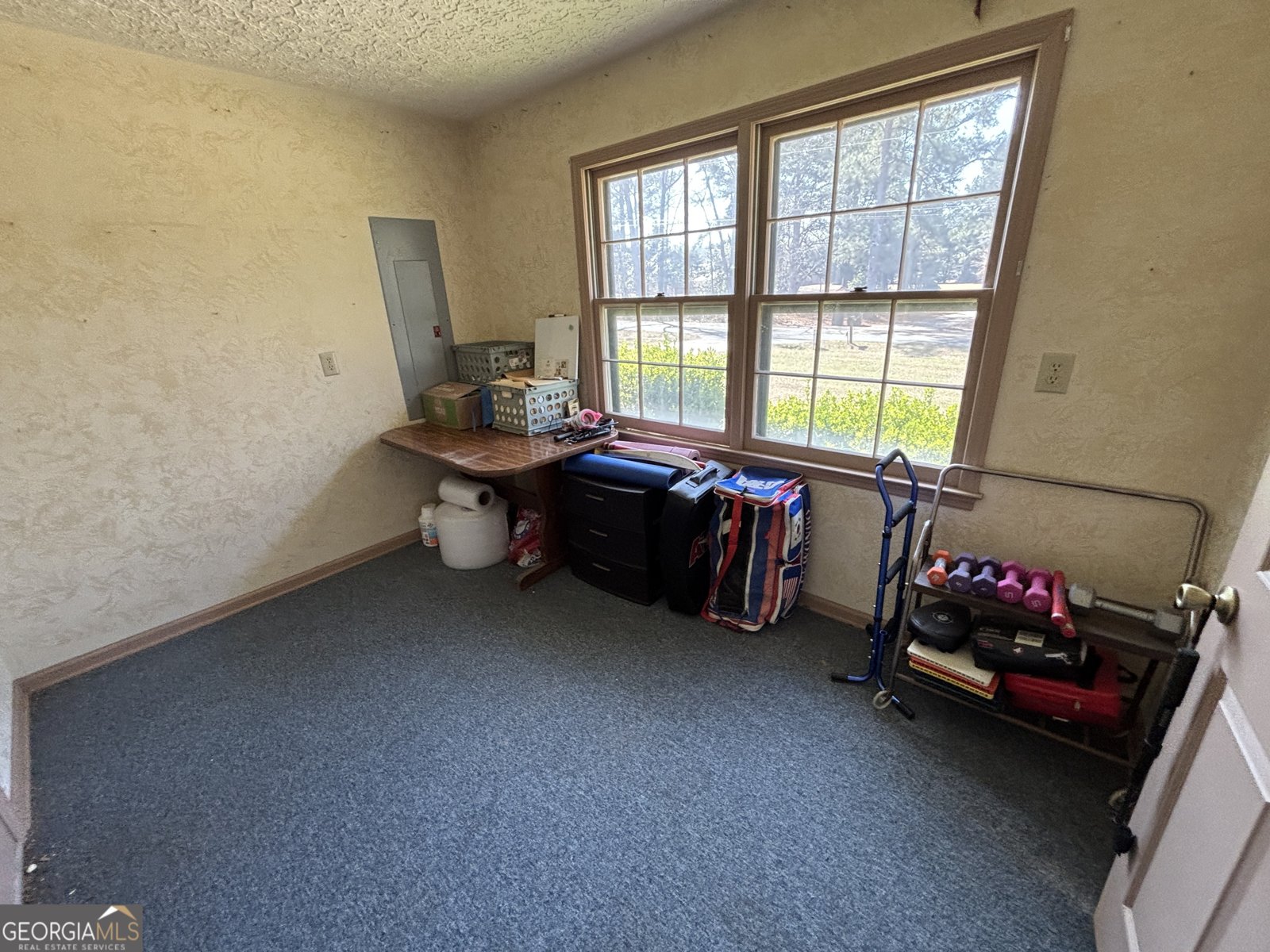 173 Berkley Road Cochran - Photo 54