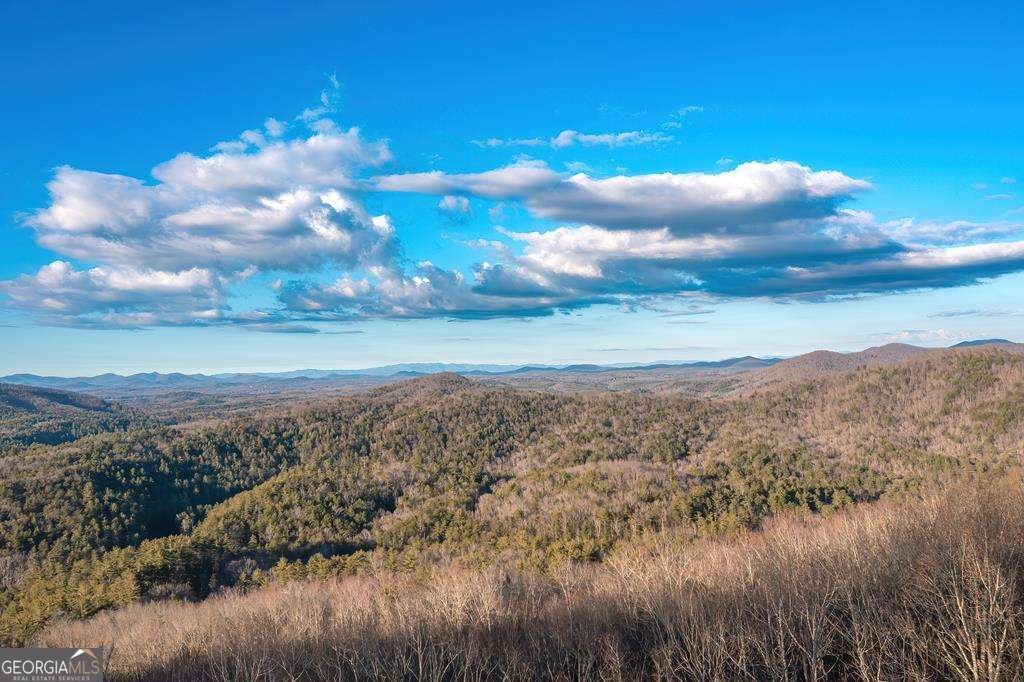 470 Skylight Drive Blue Ridge - Photo 33