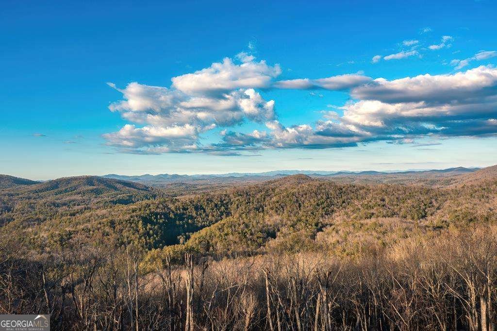 470 Skylight Drive Blue Ridge - Photo 84
