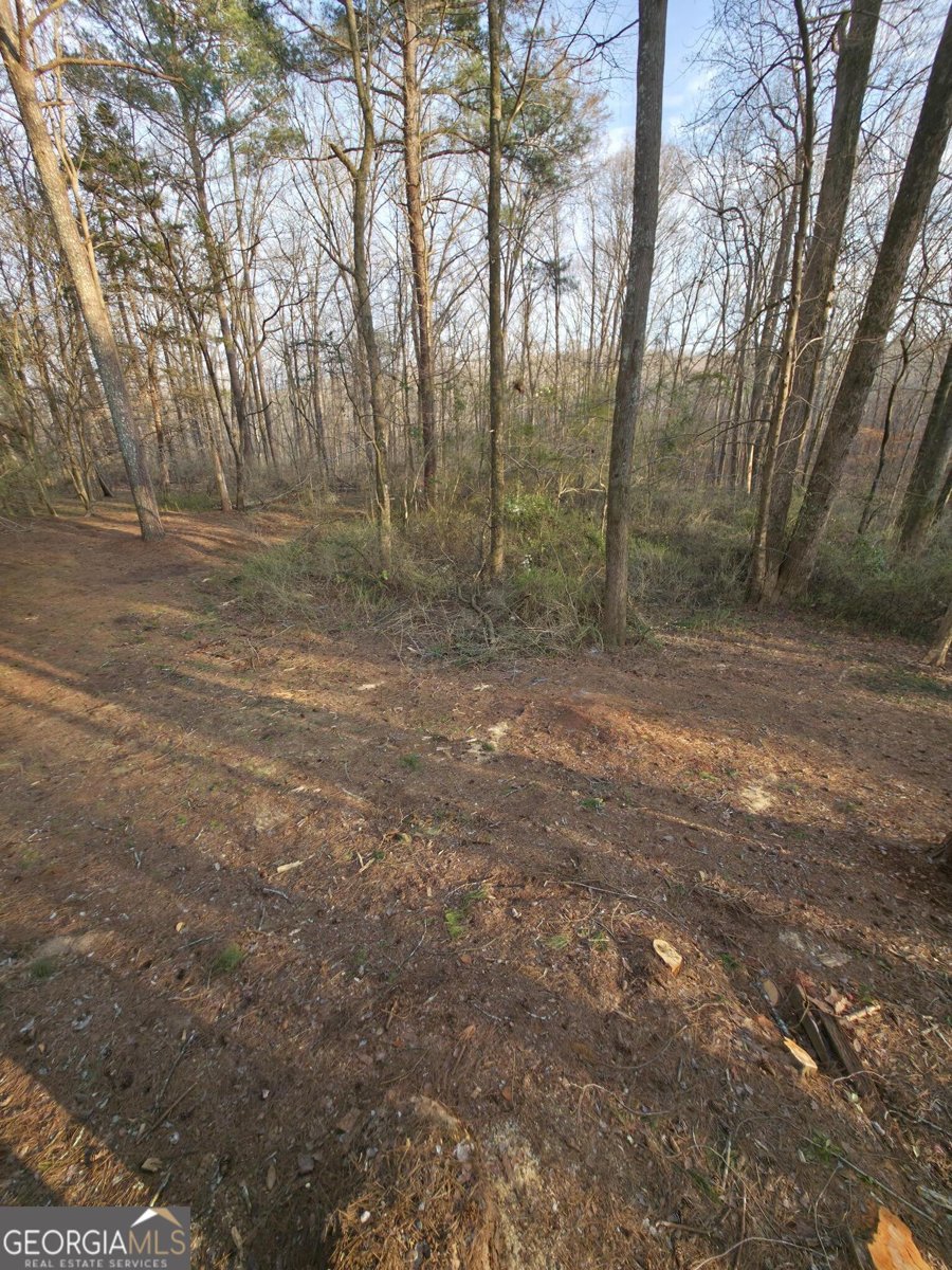 1240 Pioneer Circle Watkinsville - Photo 23