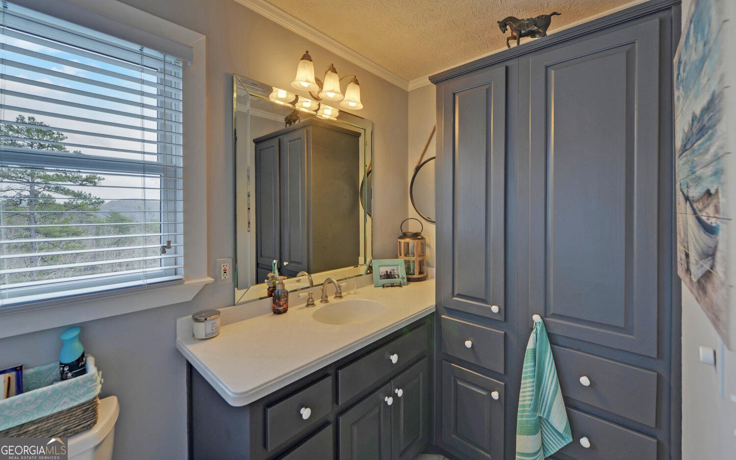 397 Early Drive Dahlonega - Photo 20