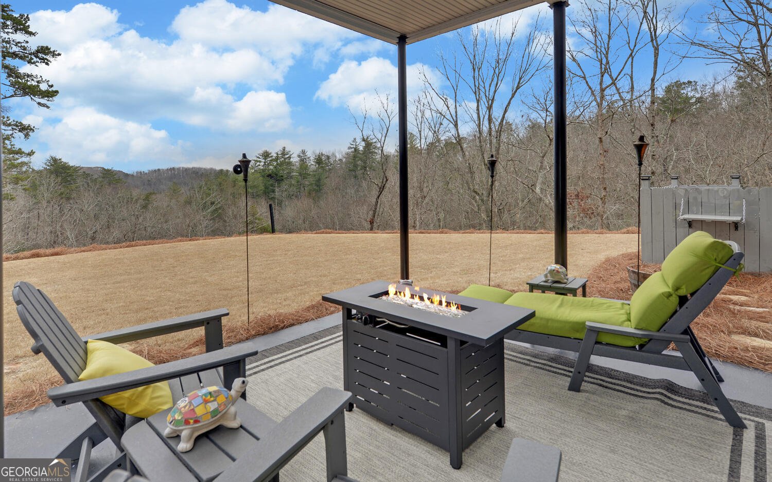 397 Early Drive Dahlonega - Photo 35