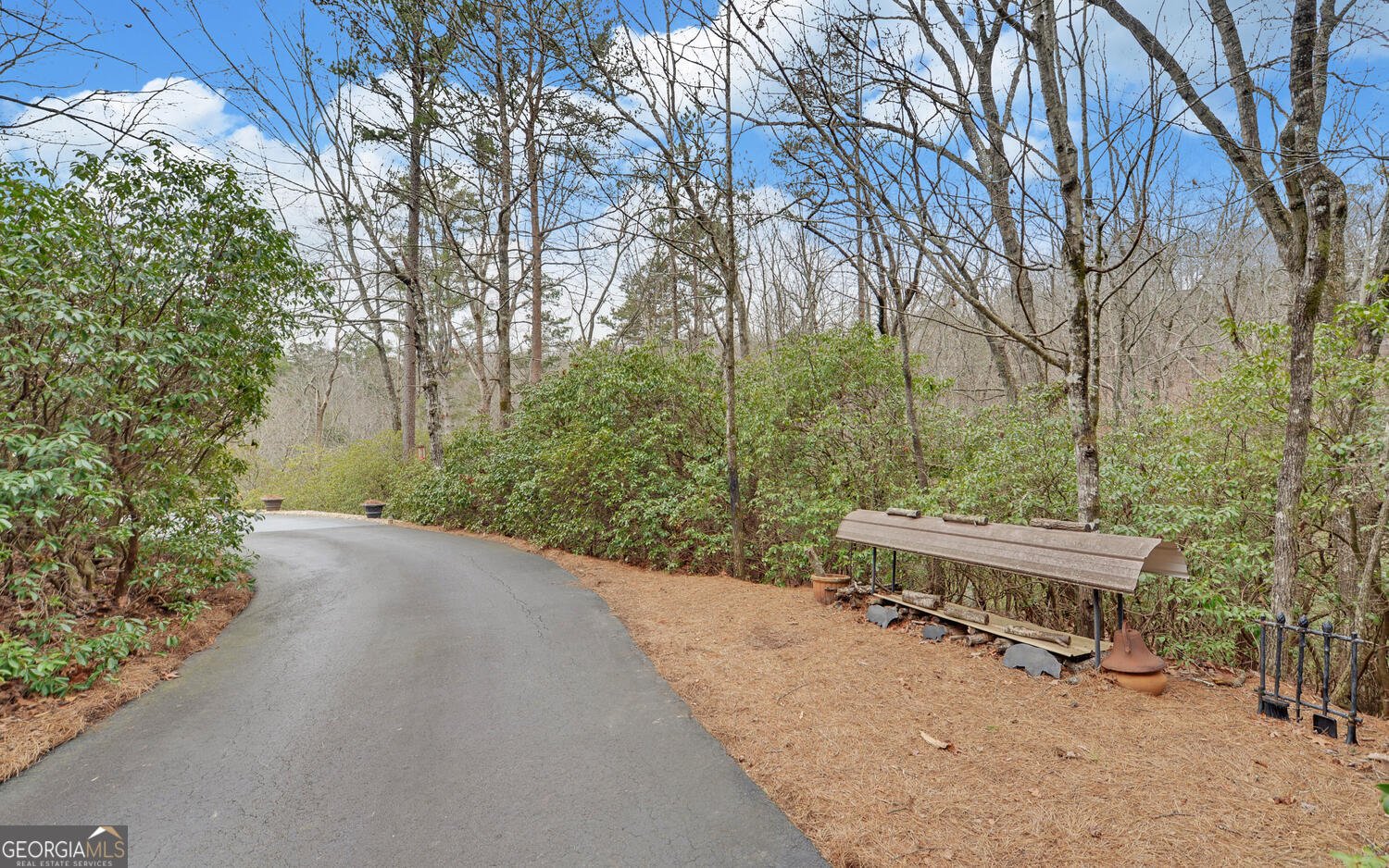 397 Early Drive Dahlonega - Photo 42