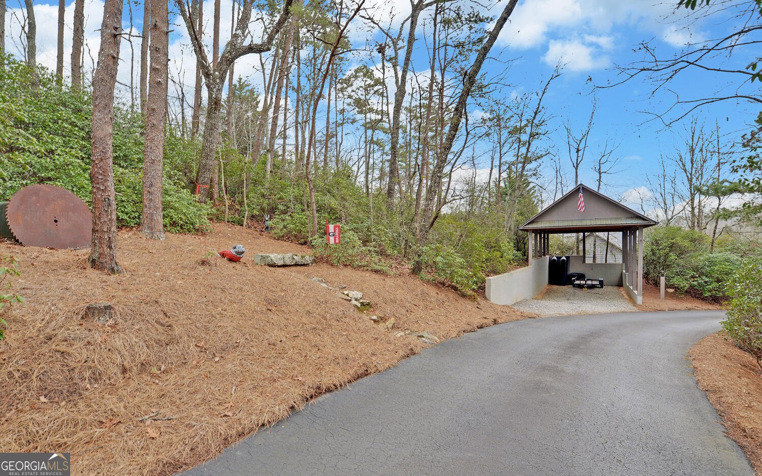 397 Early Drive Dahlonega - Photo 43