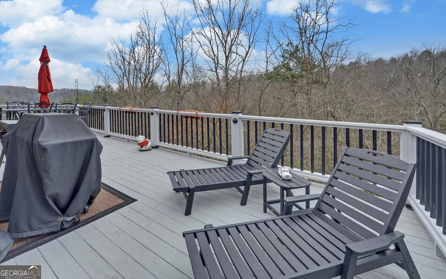 397 Early Drive Dahlonega - Photo 47