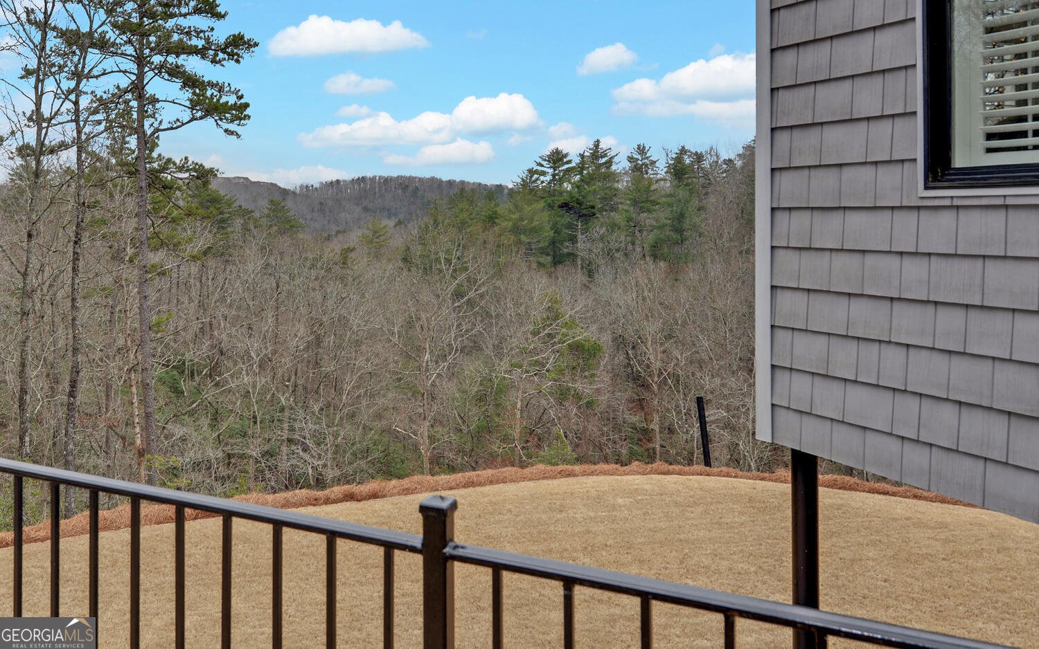 397 Early Drive Dahlonega - Photo 52