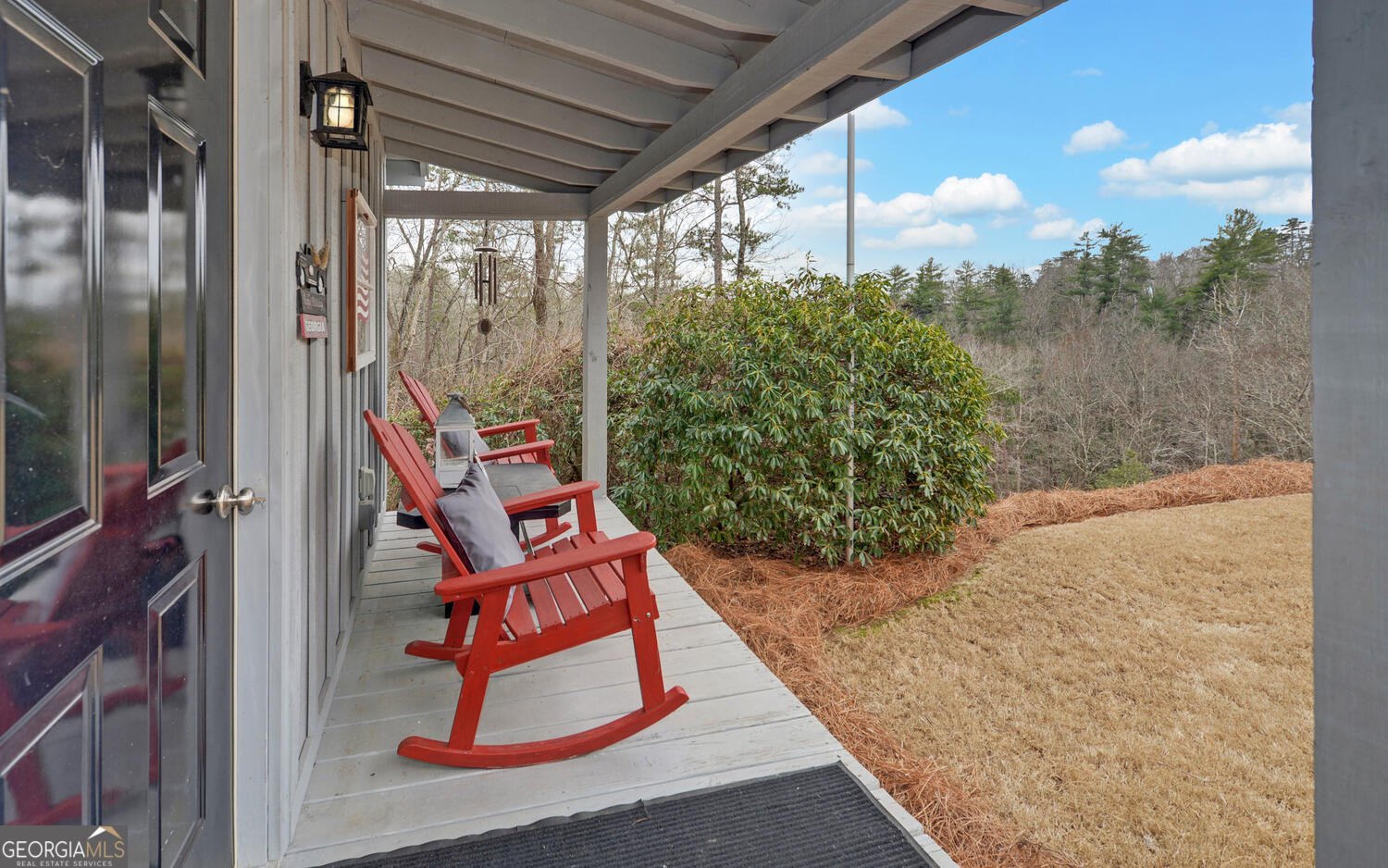 397 Early Drive Dahlonega - Photo 57