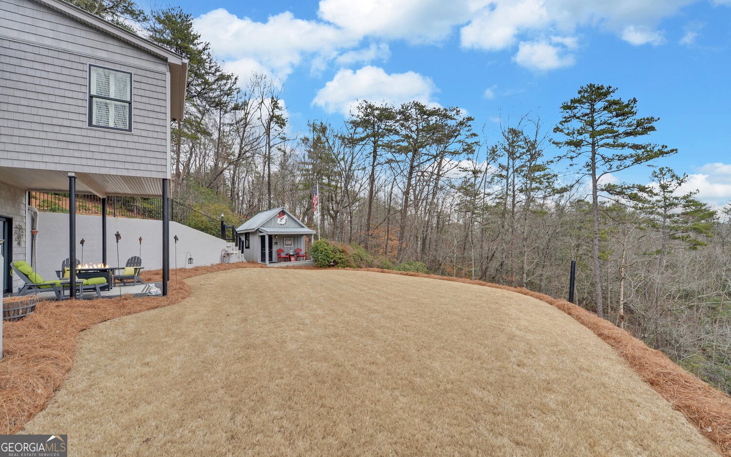 397 Early Drive Dahlonega - Photo 64