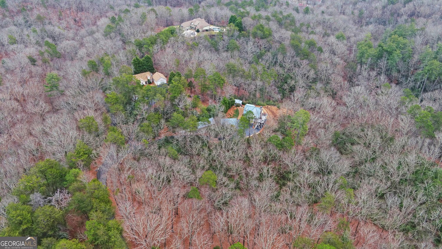 397 Early Drive Dahlonega - Photo 67