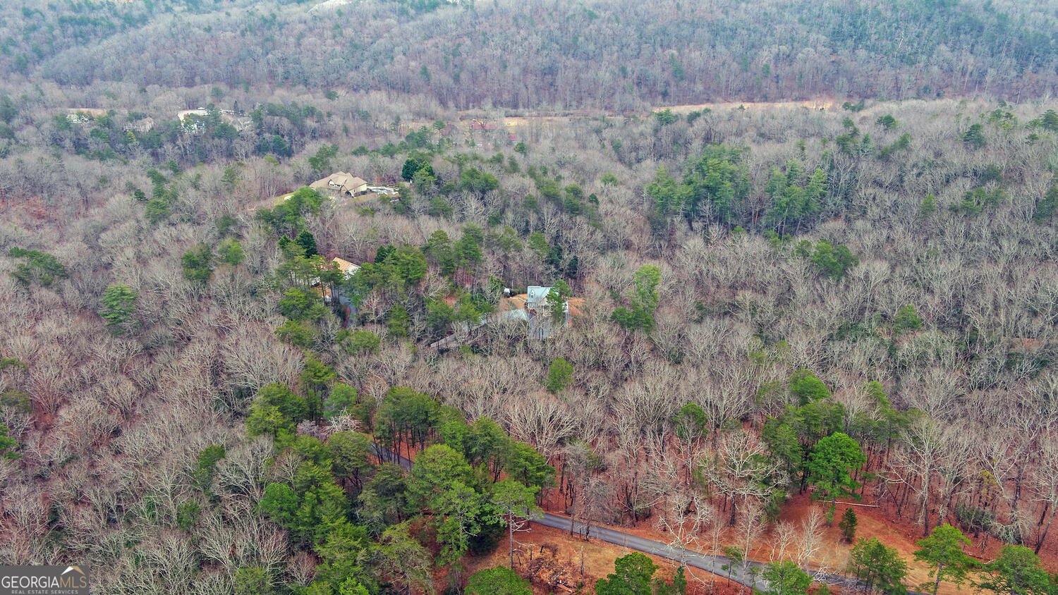 397 Early Drive Dahlonega - Photo 69