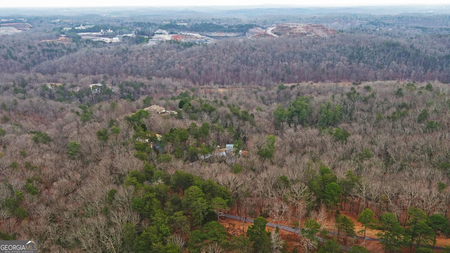 397 Early Drive Dahlonega - Photo 70