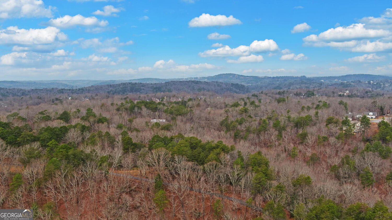 397 Early Drive Dahlonega - Photo 73