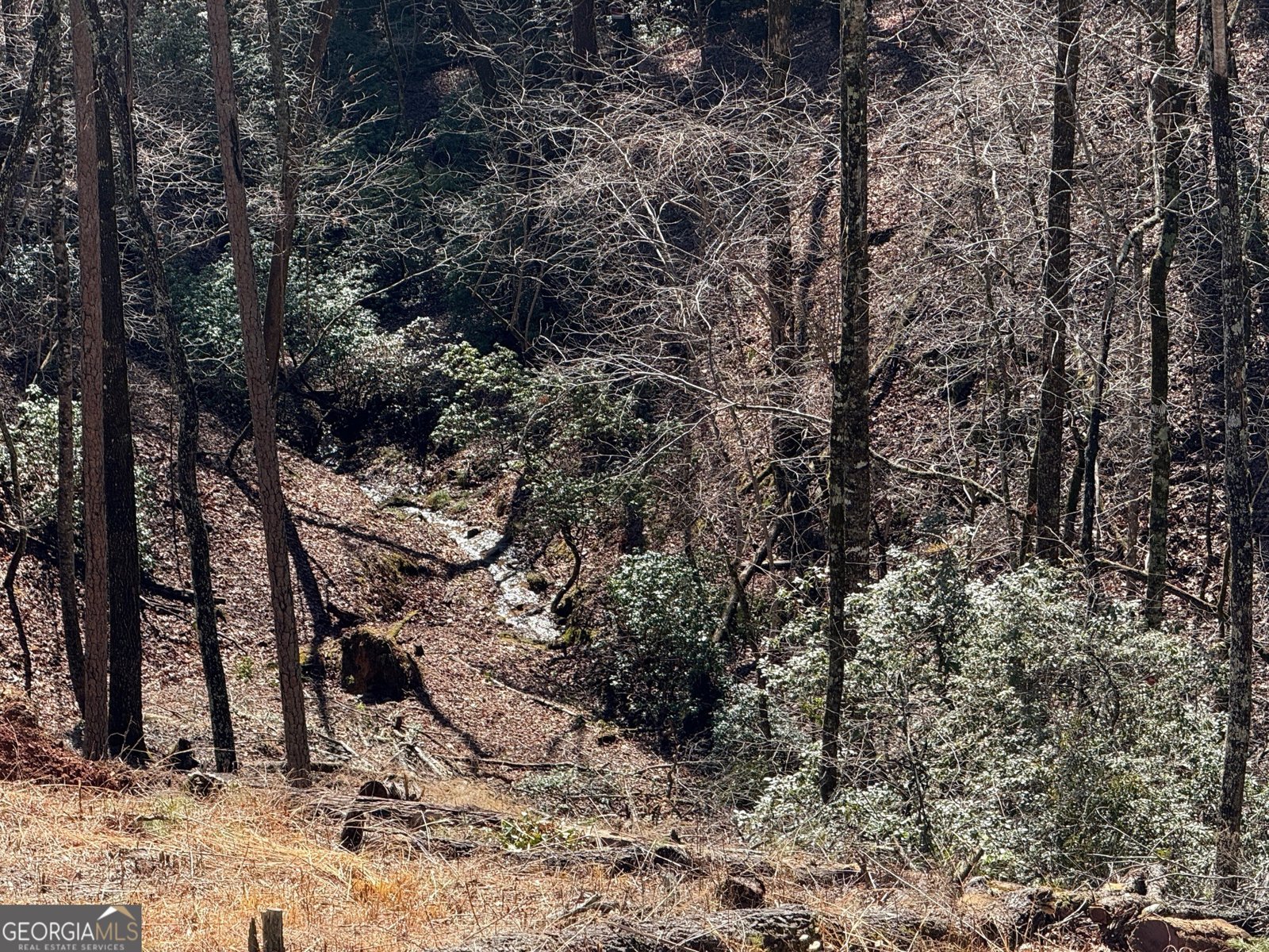 397 Early Drive Dahlonega - Photo 79