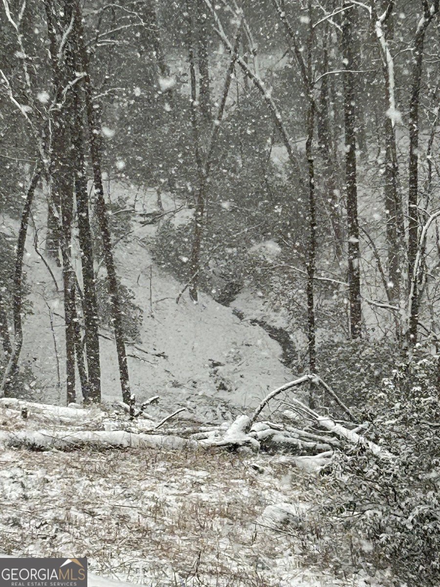 397 Early Drive Dahlonega - Photo 80