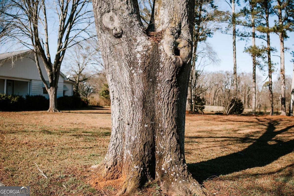 119 Ralph Bridges Road Lexington - Photo 15