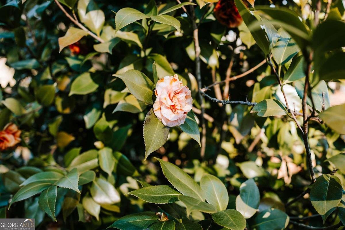 119 Ralph Bridges Road Lexington - Photo 48