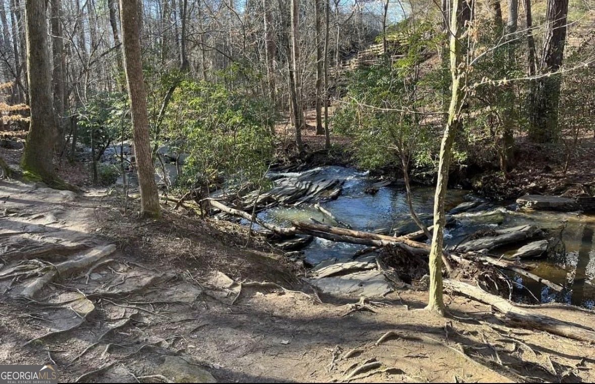 9885 Nature Mill Road Johns Creek - Photo 59