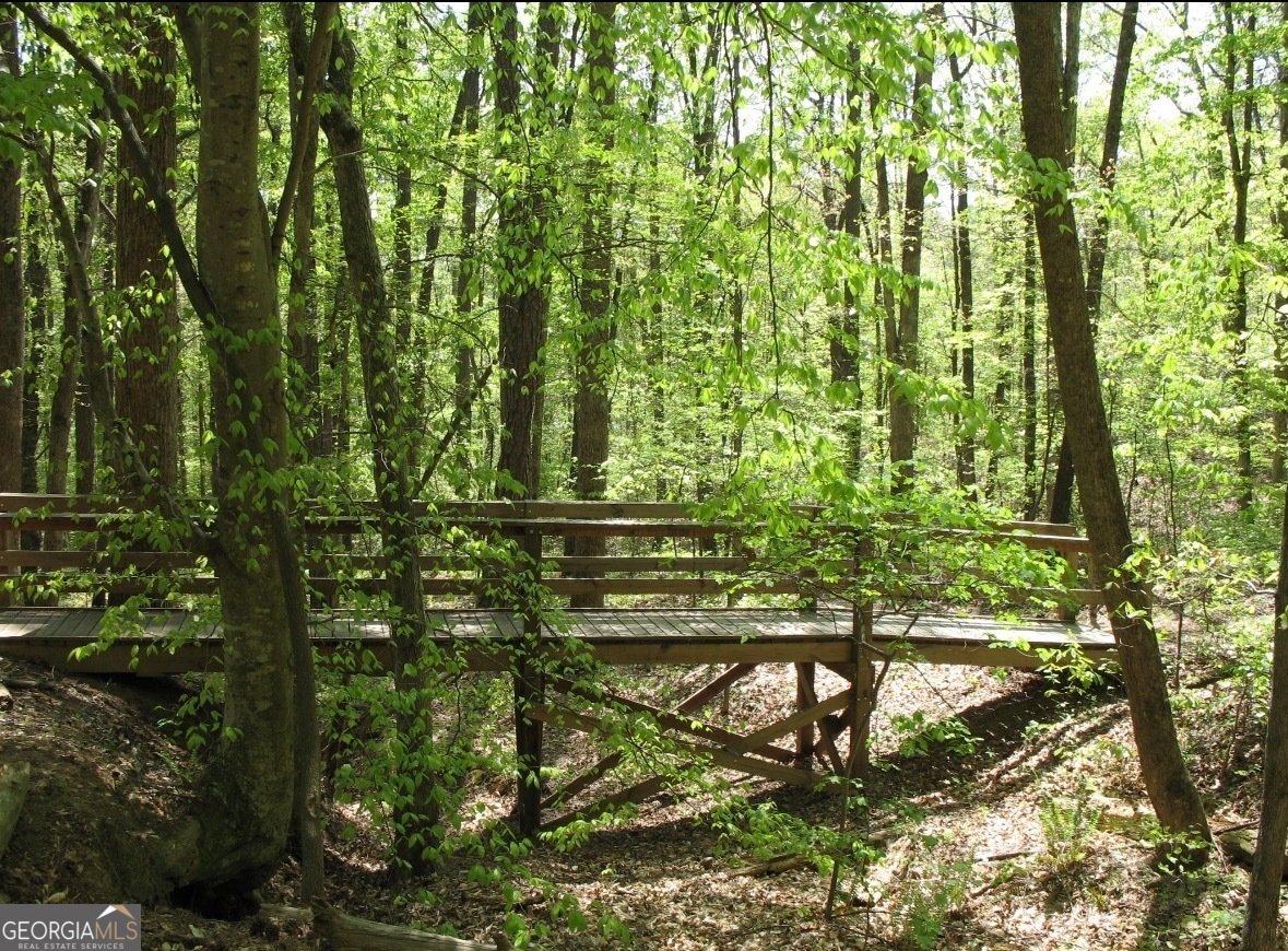 9885 Nature Mill Road Johns Creek - Photo 60