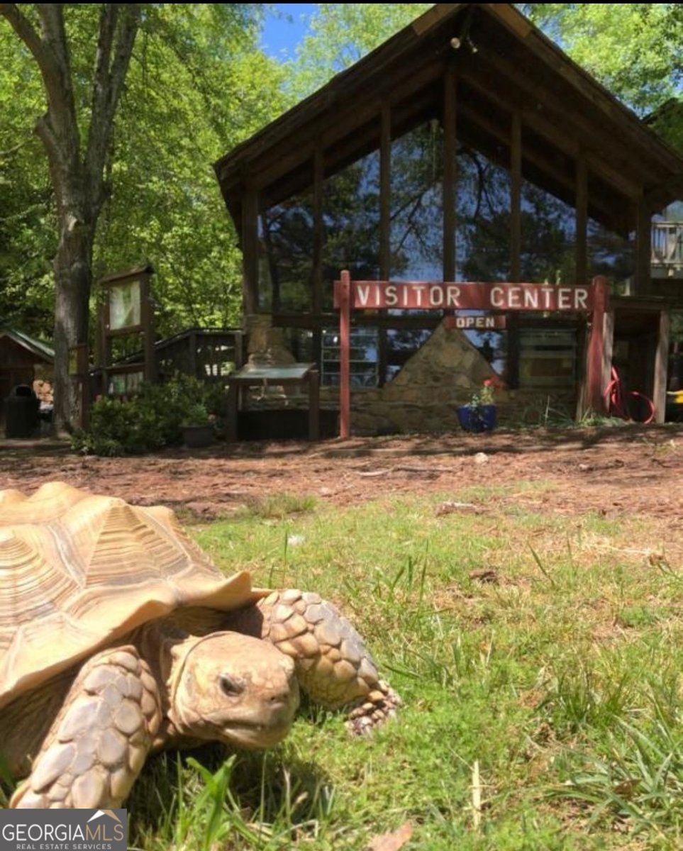 9885 Nature Mill Road Johns Creek - Photo 61