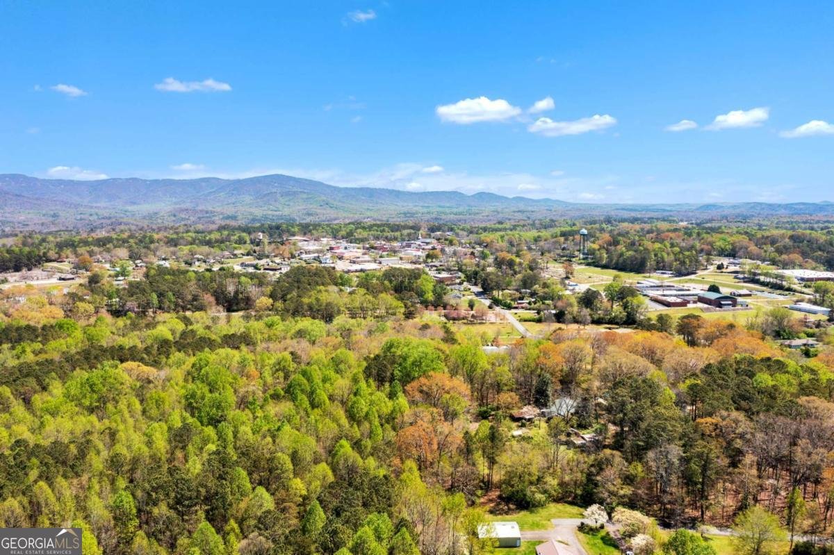 174 Golden Springs Drive Jasper - Photo 46