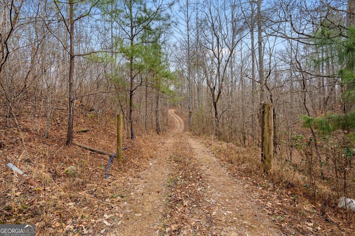 227 County Road 71 Heflin - Photo 43