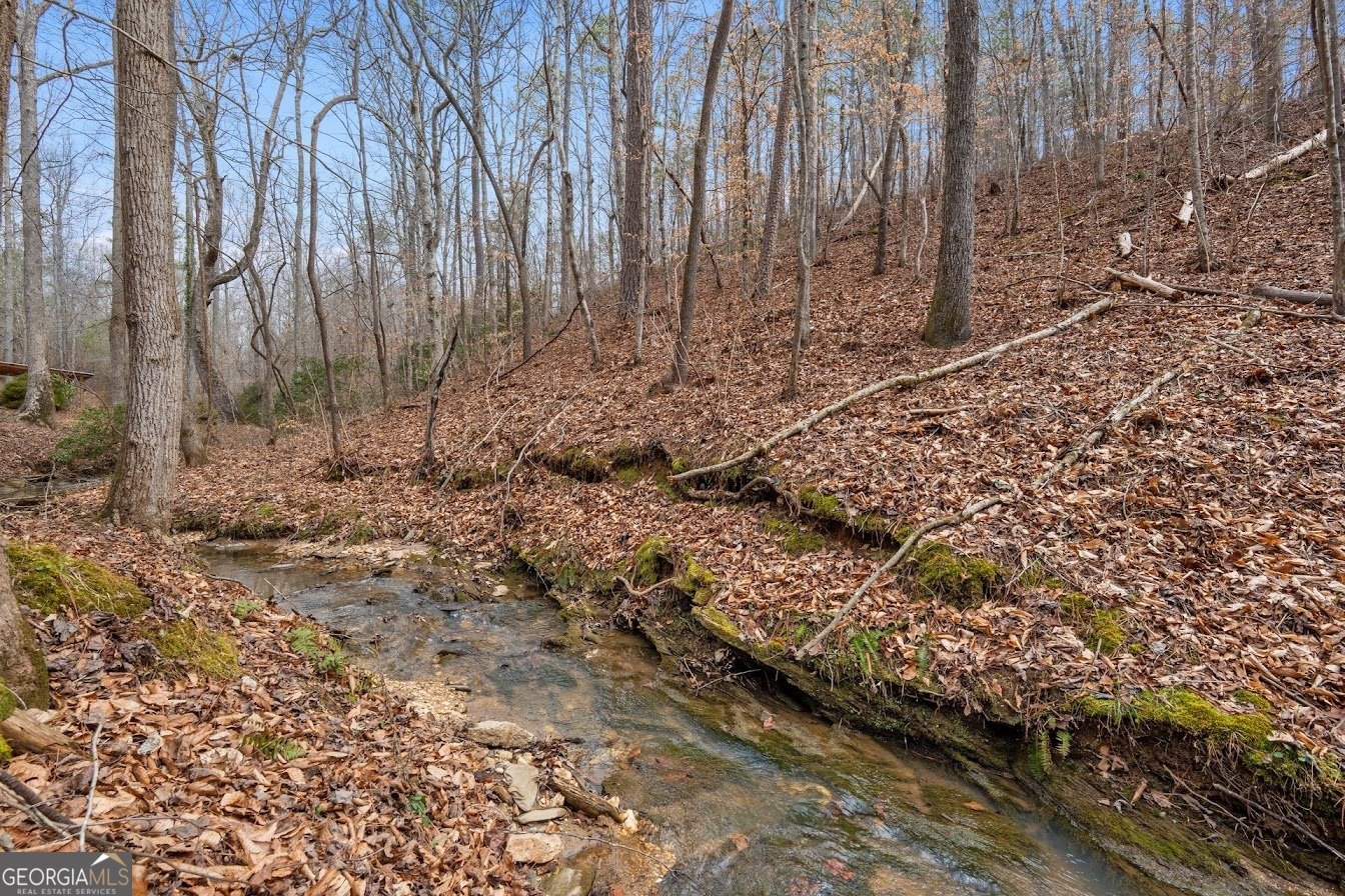 227 County Road 71 Heflin - Photo 44