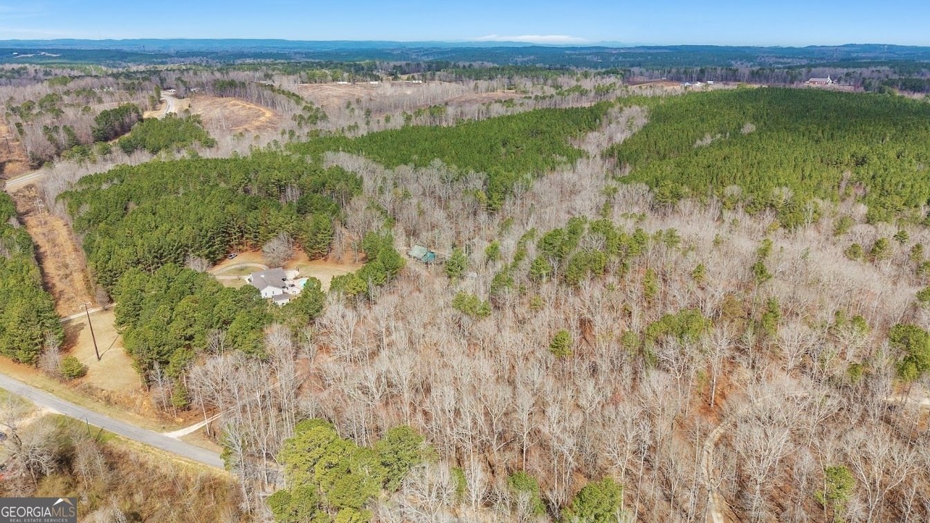 227 County Road 71 Heflin - Photo 47