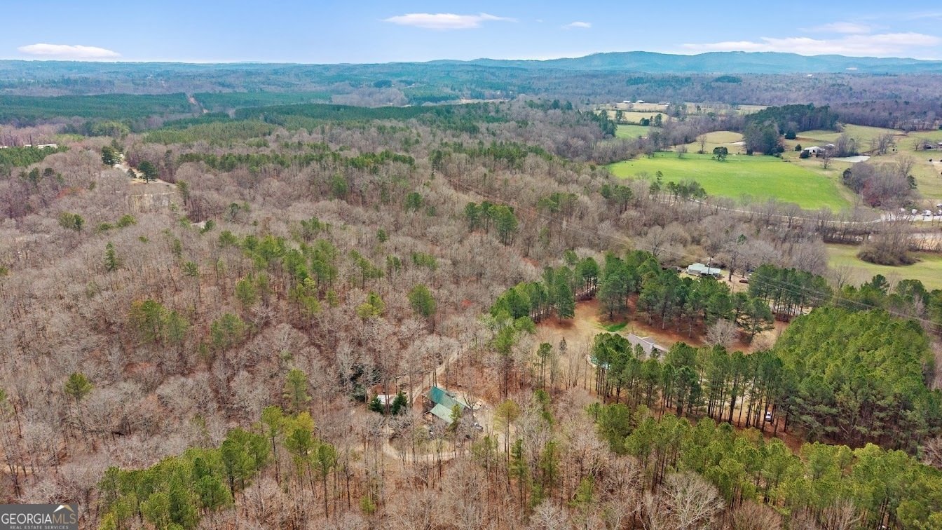 227 County Road 71 Heflin - Photo 48