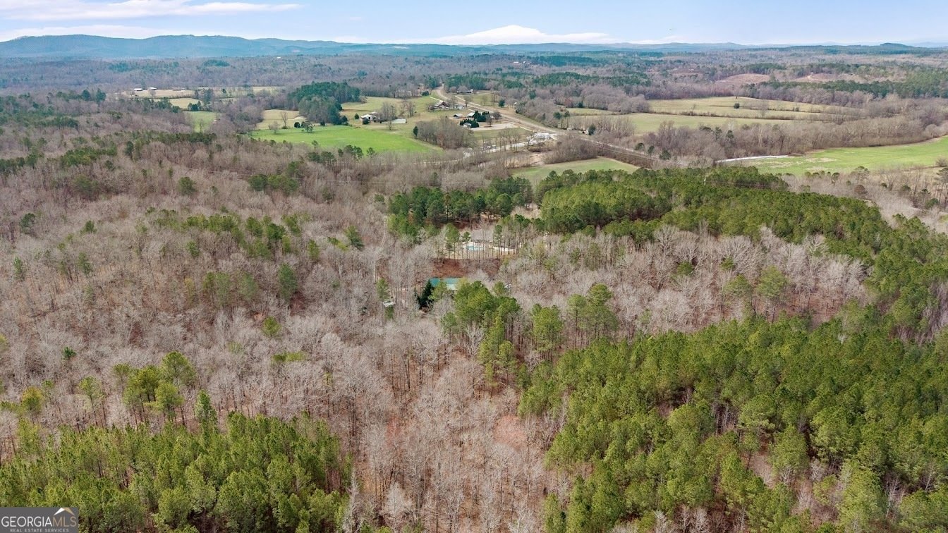 227 County Road 71 Heflin - Photo 49