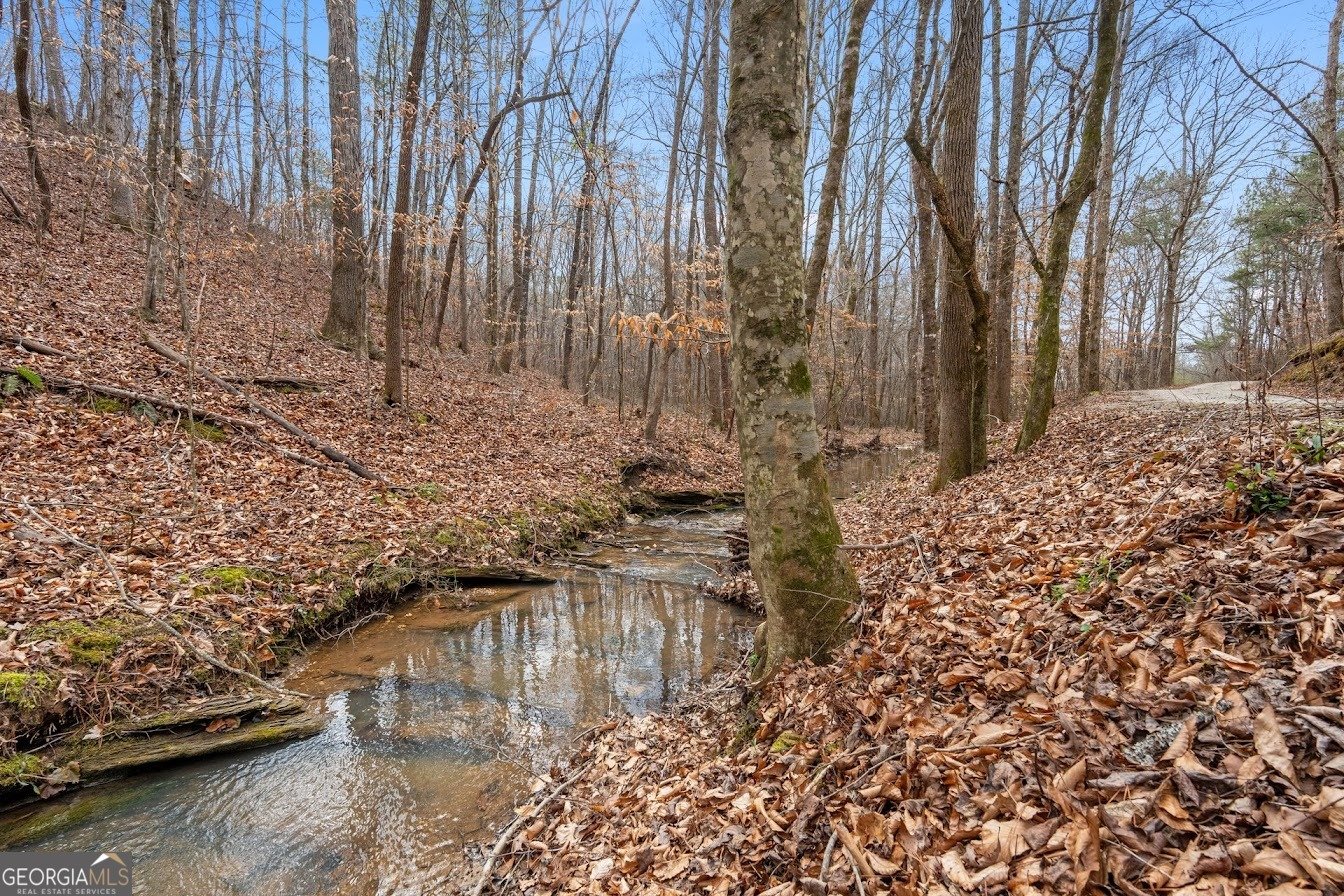 227 County Road 71 Heflin - Photo 6