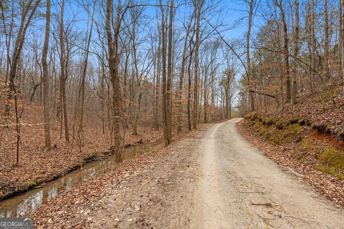 227 County Road 71 Heflin - Photo 7