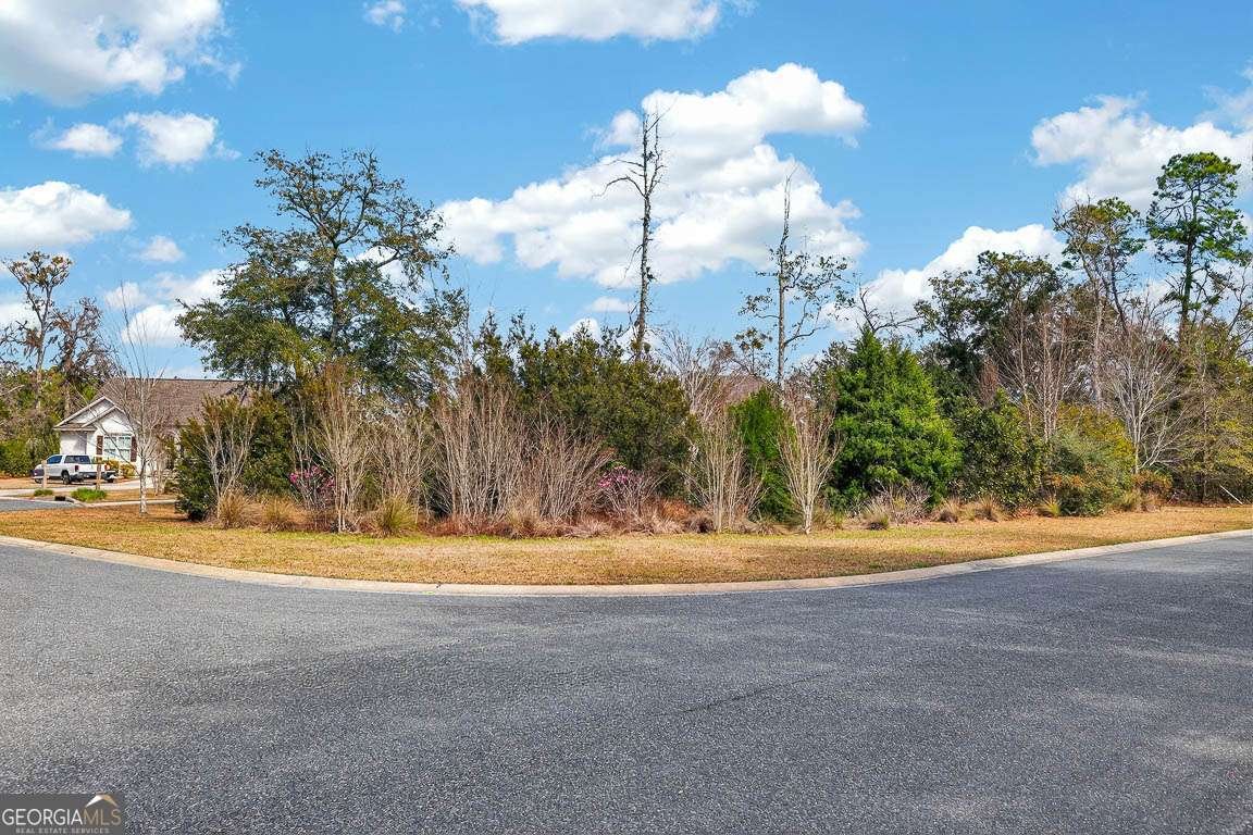 24 Bitter End Court Waverly - Photo 45