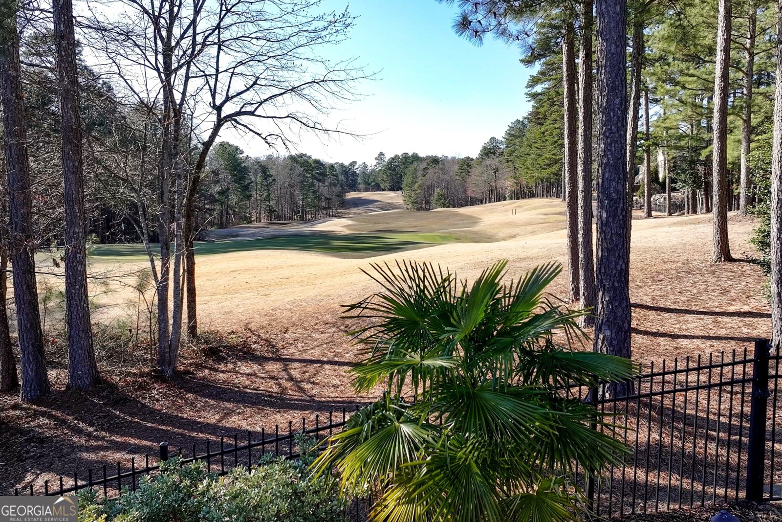 2500 Fairway Crossing Dacula - Photo 65