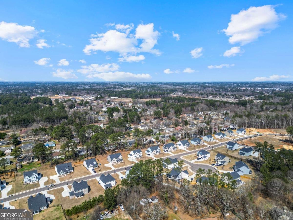 1441 Stephens View Drive Loganville - Photo 46