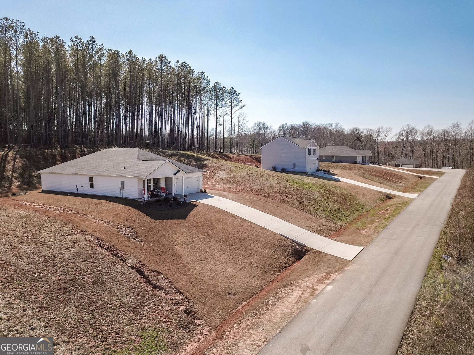 1617 Hunter Welch Parkway Luthersville - Photo 44