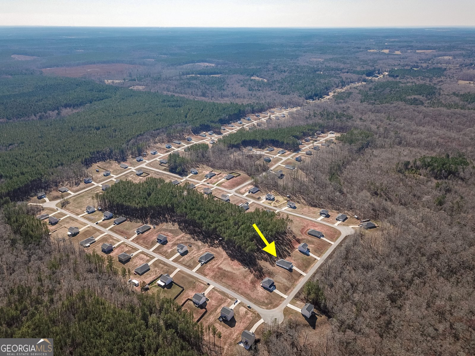 1617 Hunter Welch Parkway Luthersville - Photo 46