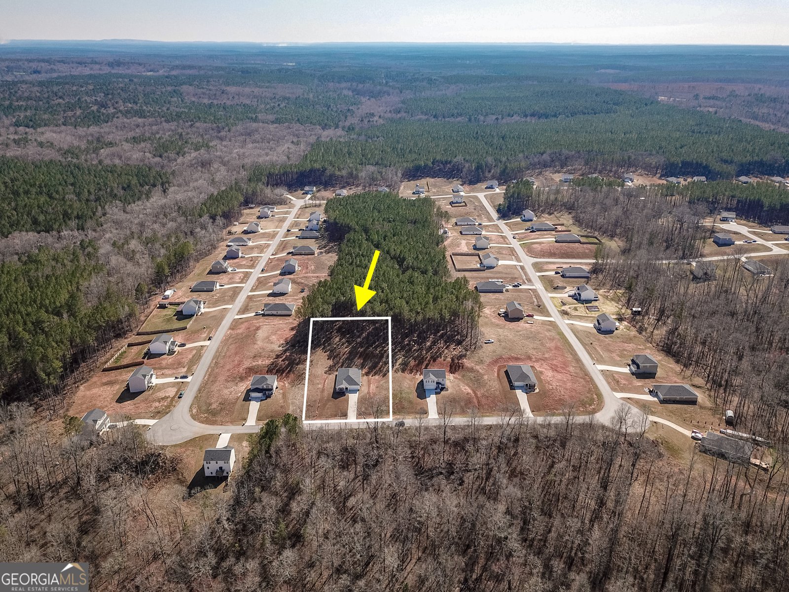 1617 Hunter Welch Parkway Luthersville - Photo 47